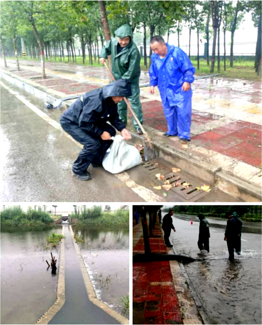 陜儲糧集團大荔庫弘揚“三線”精神 保障庫內糧好人安